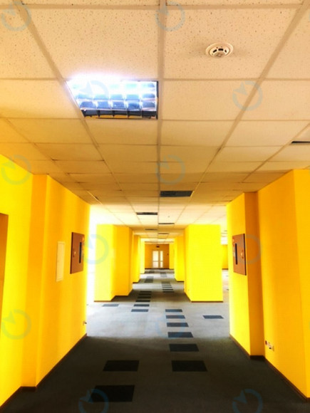 Аренда офиса 711 м.кв 6 этаж Прага - фото 2