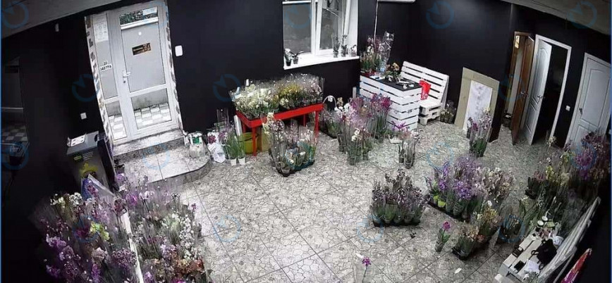 Продажа офиса 51 м.кв 1 этаж Европейская, 2б