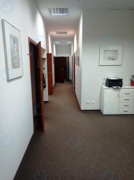 Аренда офиса 165 м.кв 3 этаж Жилянская 146 - фото 2