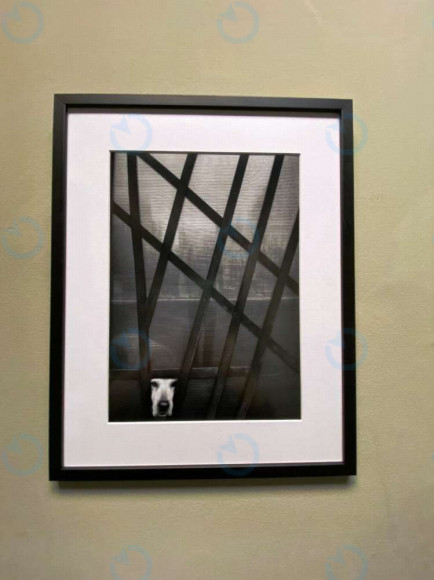 Оренда офісу 370 м.кв 5 поверх ARENA CITY - фото 9