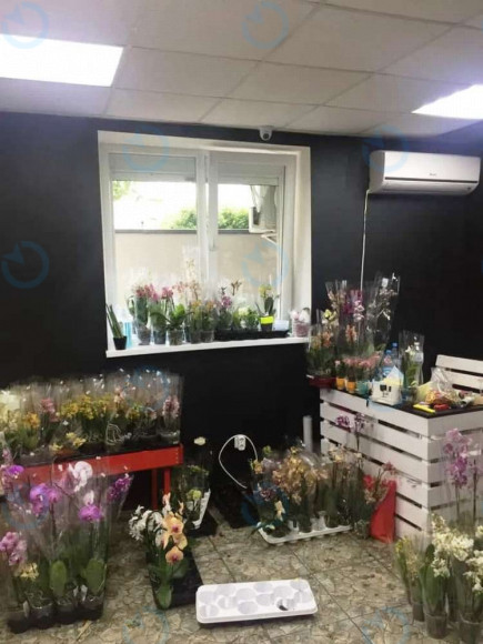 Продажа офиса 51 м.кв 1 этаж Европейская, 2б - фото 4