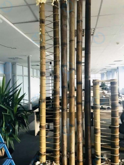 Оренда офісу 1000 м.кв 9 поверх Лесі Українки, 26 - фото 3