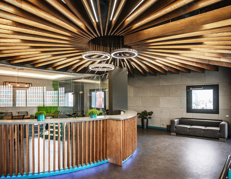 Аренда офиса 820 м.кв 1 этаж Dyvosvit - фото 4