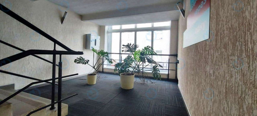 Аренда офиса 77 м.кв 3 этаж Форум Деловой Городок - фото 6