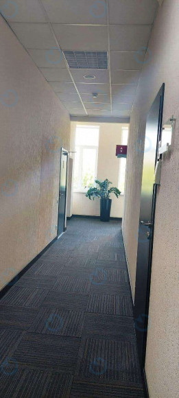 Аренда офиса 77 м.кв 3 этаж Форум Деловой Городок - фото 5