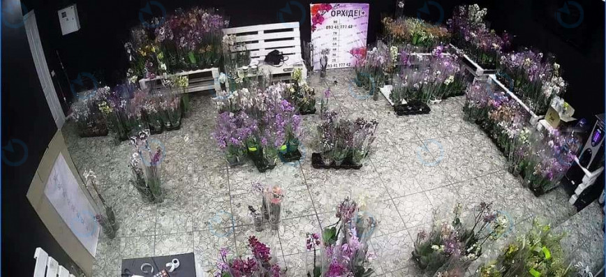 Продажа офиса 51 м.кв 1 этаж Европейская, 2б - фото 2