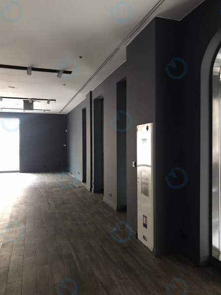 Аренда офиса 257 м.кв 1 этаж Владимирская 38 - фото 2