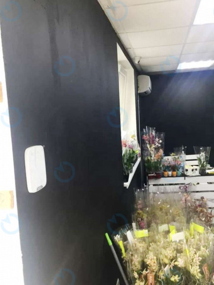 Продажа офиса 51 м.кв 1 этаж Европейская, 2б - фото 3