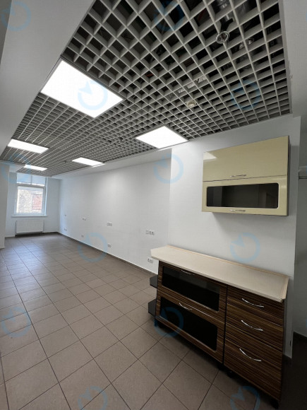 Аренда офиса 672 м.кв 5 этаж Владимирская 38 - фото 9