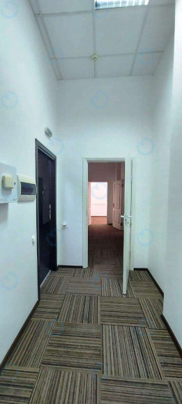 Аренда офиса 77 м.кв 3 этаж Форум Деловой Городок - фото 3