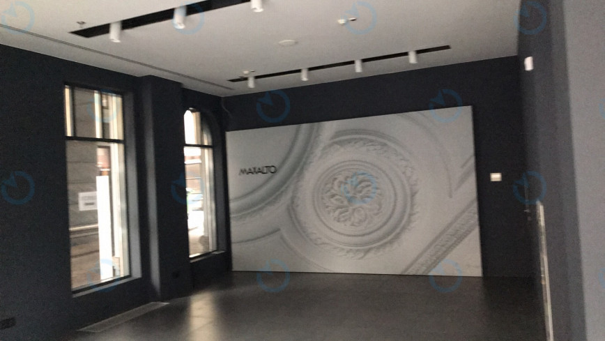 Аренда офиса 257 м.кв 1 этаж Владимирская 38 - фото 5