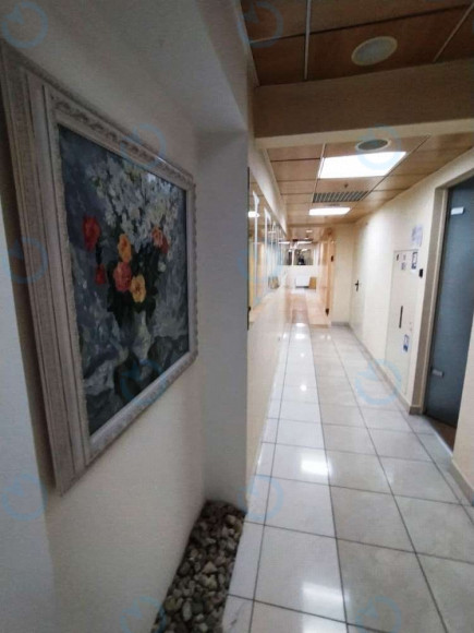 Аренда офиса 1297 м.кв 0 этаж Леонардо (I очередь) - фото 4