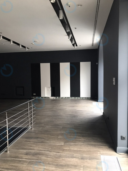 Аренда офиса 257 м.кв 1 этаж Владимирская 38 - фото 3