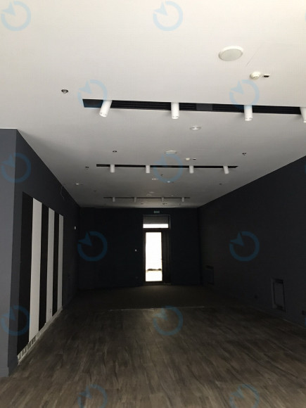 Аренда офиса 257 м.кв 1 этаж Владимирская 38 - фото 9