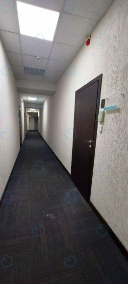 Аренда офиса 136 м.кв 2 этаж Форум Деловой Городок - фото 7