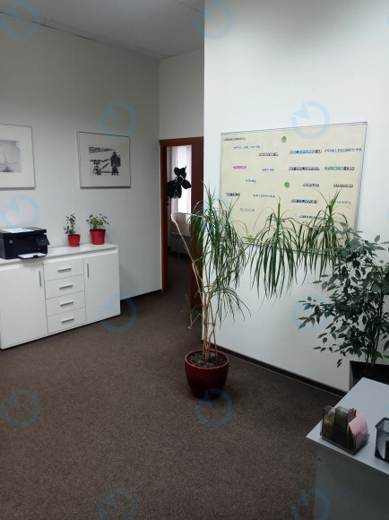 Аренда офиса 165 м.кв 3 этаж Жилянская 146 - фото 3