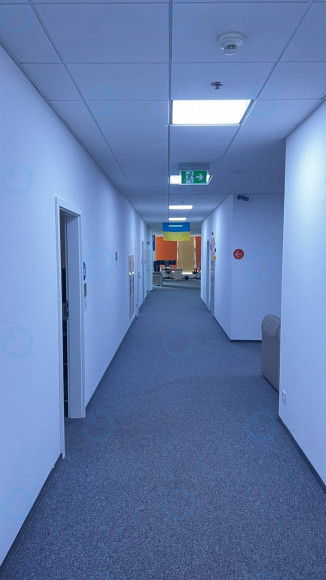 Аренда офиса 613 м.кв 3 этаж SP Hall - фото 6