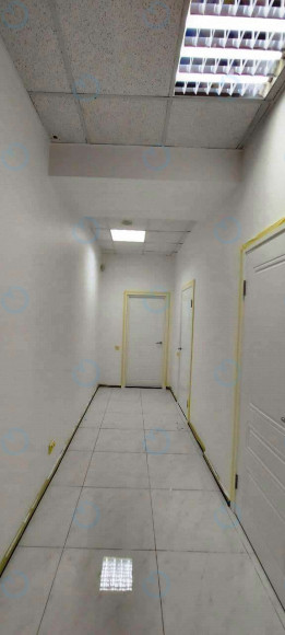 Аренда офиса 136 м.кв 2 этаж Форум Деловой Городок - фото 8