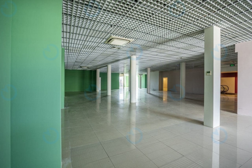 Аренда офиса 450 м.кв 2 этаж Малышка, 3в - фото 5