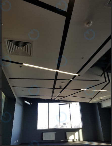 Аренда офиса 306 м.кв 10 этаж Сенатор - фото 6