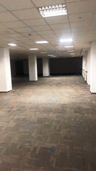 Аренда офиса 847 м.кв 4 этаж Форум Парк Плаза - фото 3