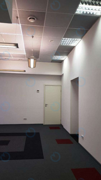 Аренда офиса 128 м.кв 2 этаж Форум Б7 - фото 3