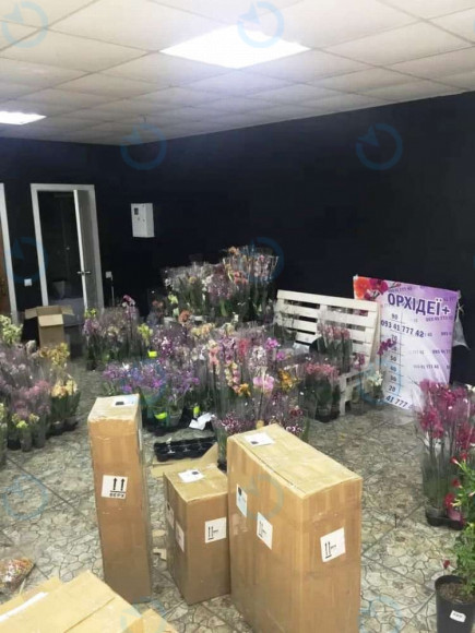 Продажа офиса 51 м.кв 1 этаж Европейская, 2б - фото 5