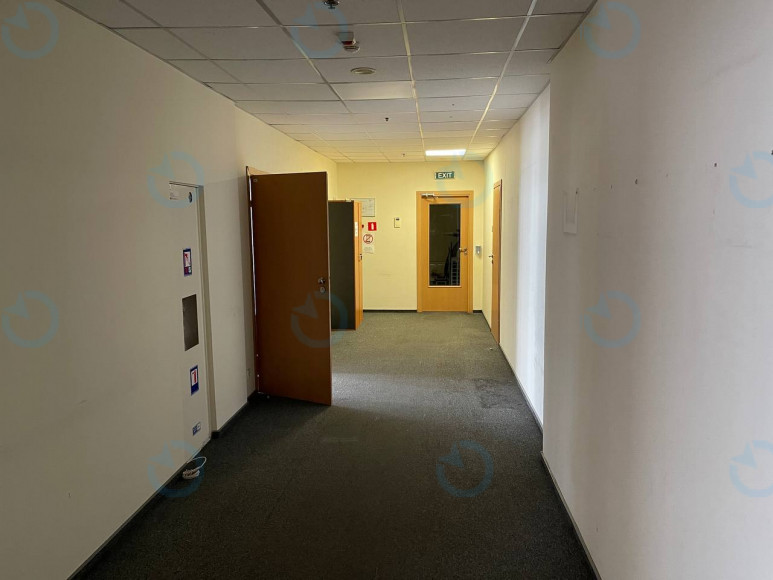 Аренда офиса 774 м.кв 6 этаж Физкультуры, 28 - фото 6